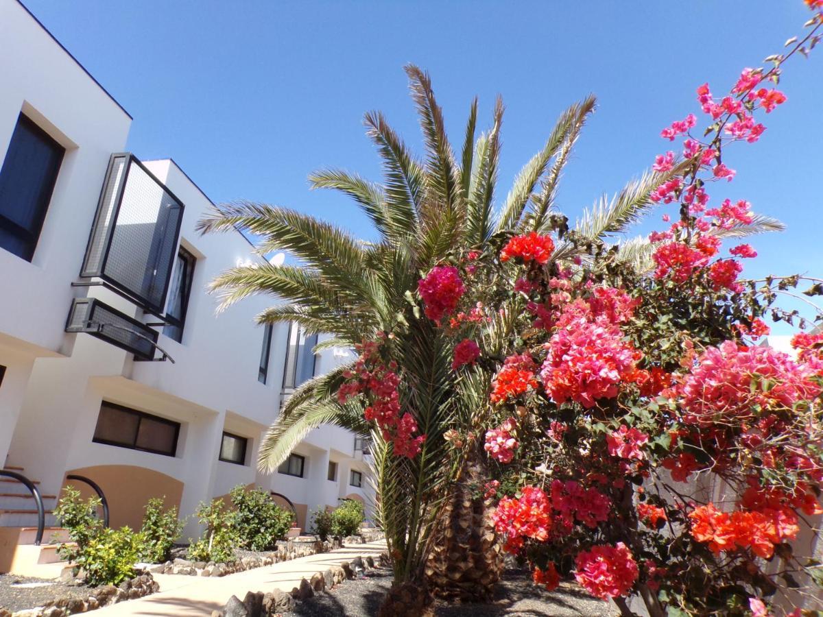 Amaya Ocean View Apartment كوستا دي أنتيجوا المظهر الخارجي الصورة